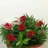 Ramo de rosas 1