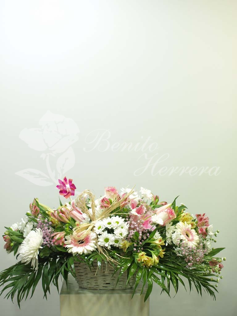 Cesta silvestre. 3 Cesta silvestre. 3