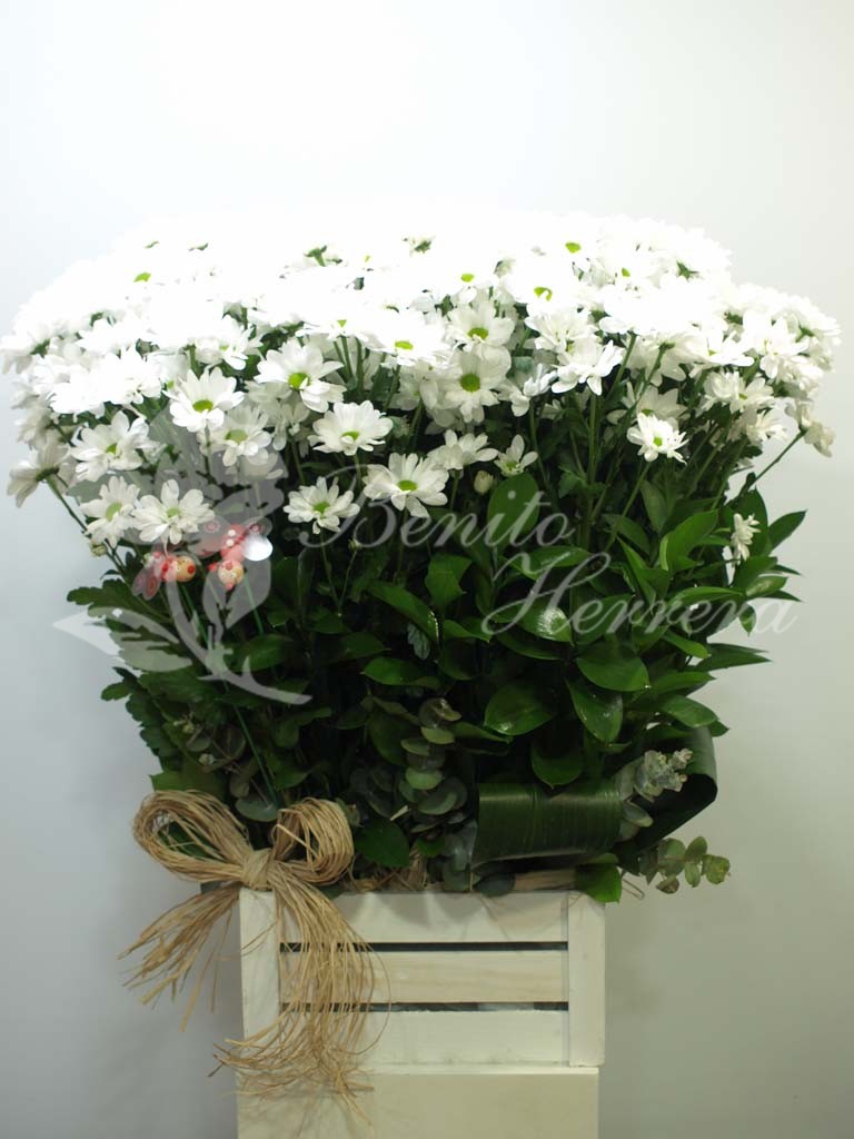 Caja Margaritas 3 Caja Margaritas 3