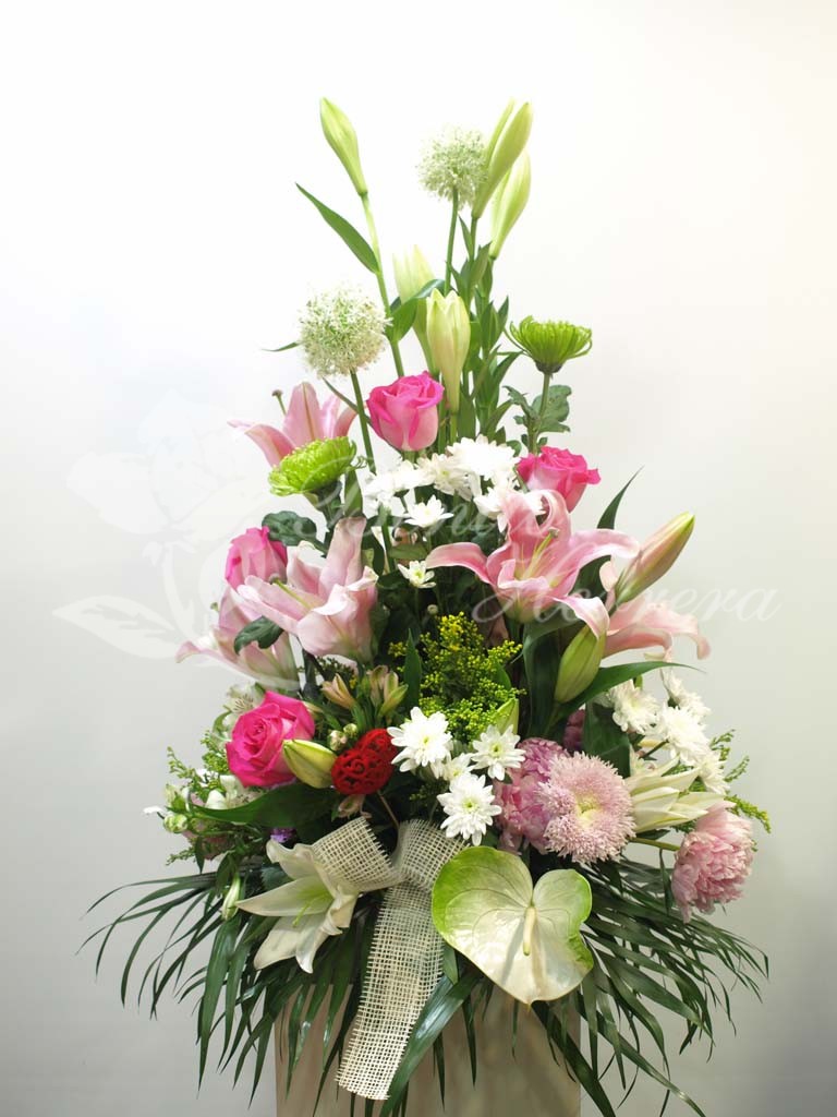 Centro anastasia 3 Centro anastasia 3