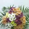 Bouquet margarita 2