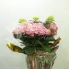 Hortensia rosa 1