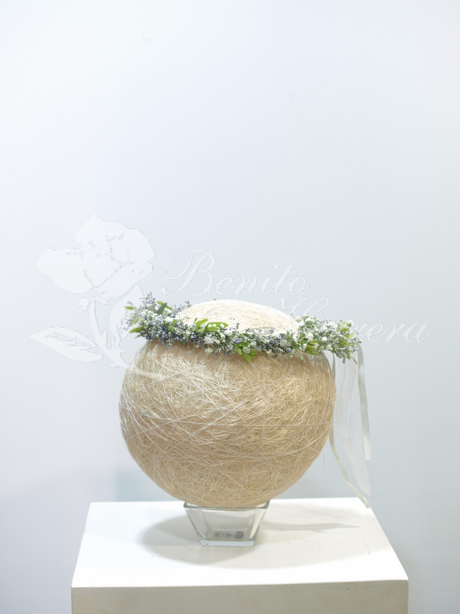 Corona dama paniculata 3