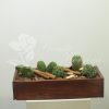 caja de madera con cactus