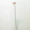 Pincho de abeja 1