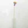 Pincho lápices 1