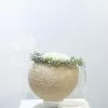 Corona dama paniculata 1