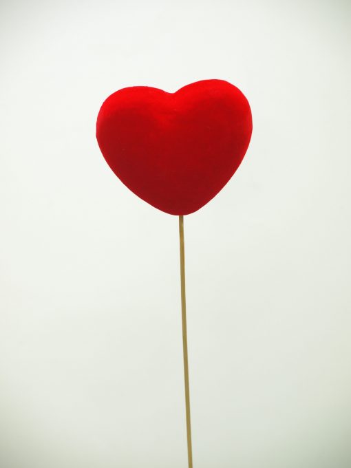 Pincho corazón mediano 3