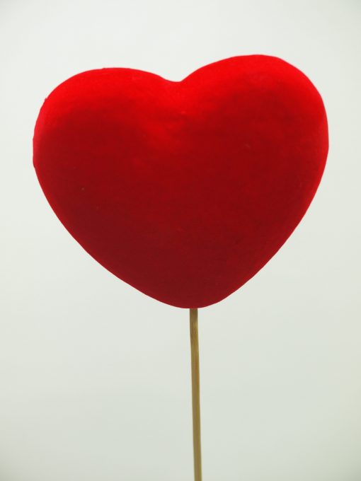 Pincho corazón mediano 4