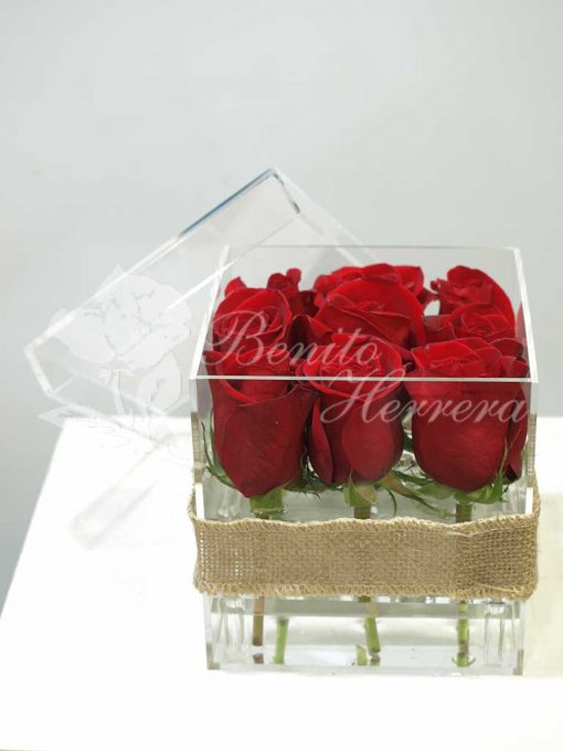 Caja de metacrilato con nueve rosas