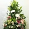 Centro longiflora 1