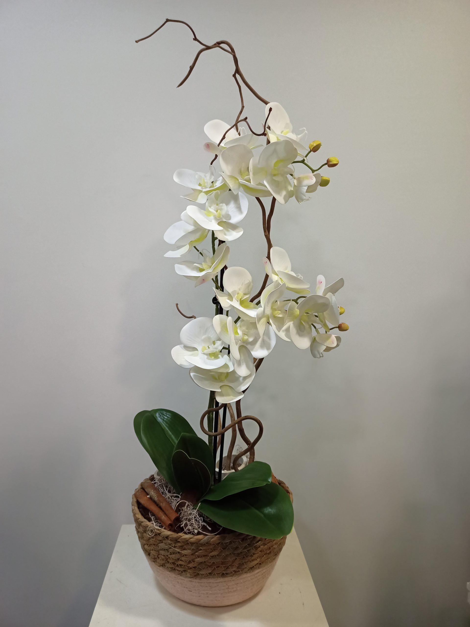 Phalaenopsis blanca de tela 3