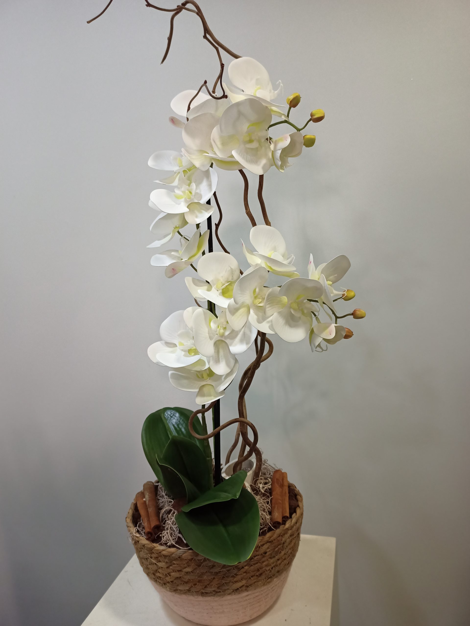 Phalaenopsis blanca de tela 4