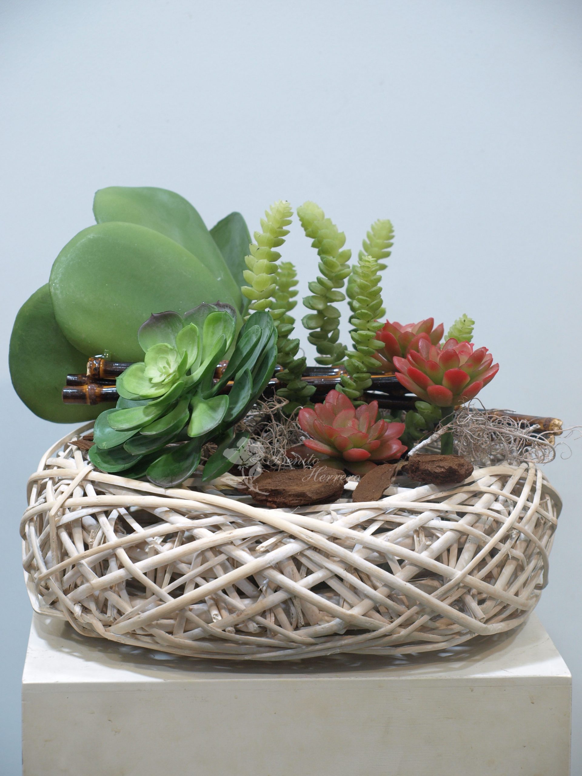 Cesto carnosas artificiales 4