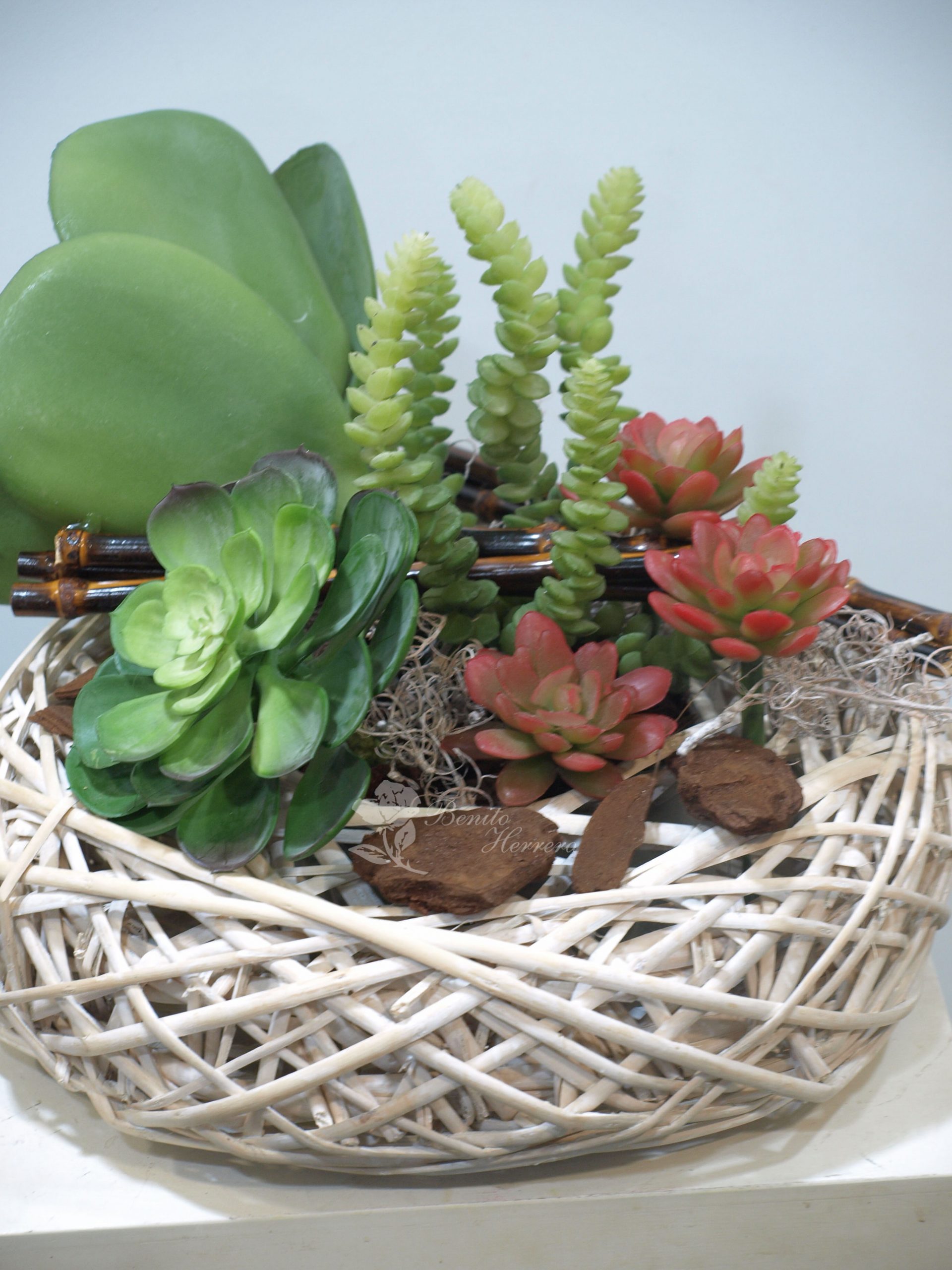 Cesto carnosas artificiales 3