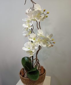 Phalaenopsis blanca de tela 5