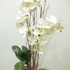 Phalaenopsis blanca de tela 1