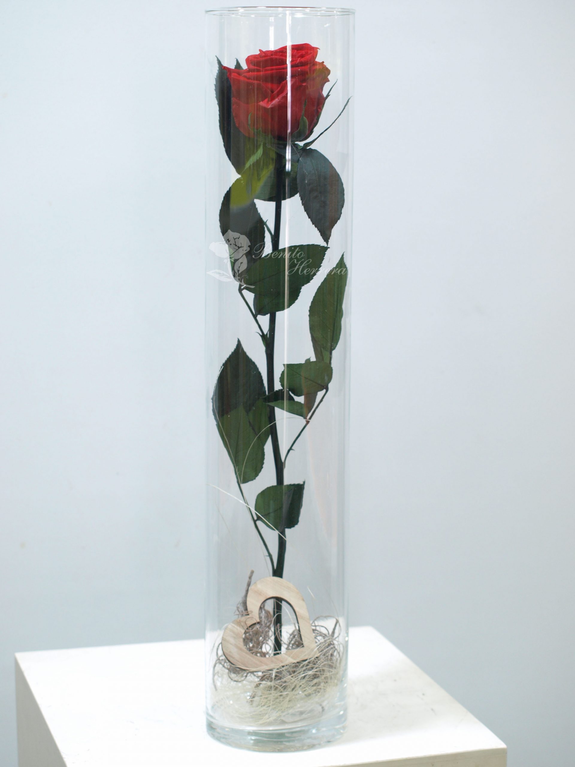 Tubo cristal con preservada 3