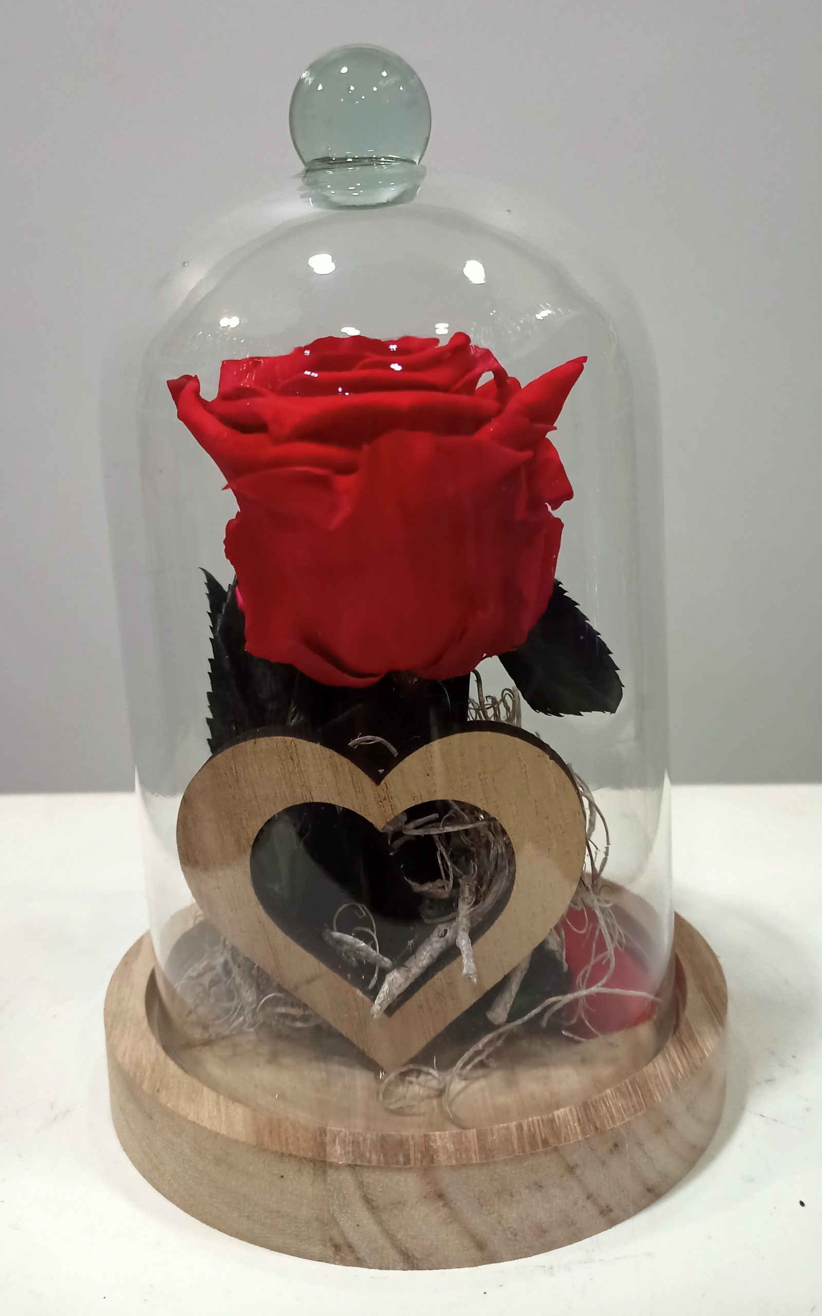 Cúpula Rosa eterna 3