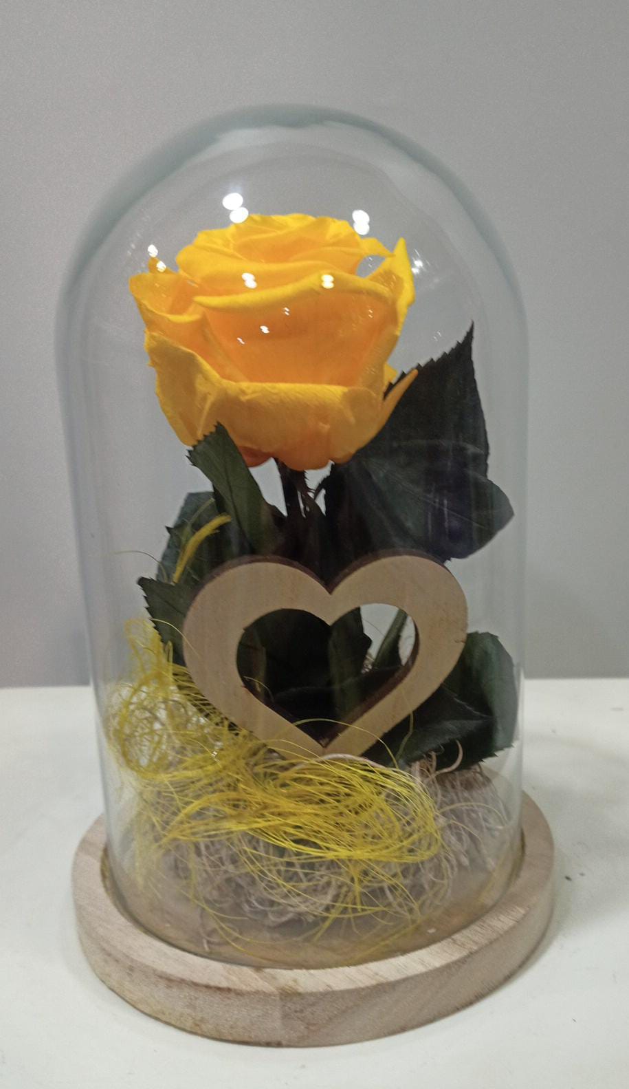 Cúpula Rosa eterna 4