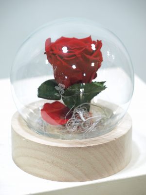 Cúpula bola de cristal Rosa eterna 4 Cúpula bola de cristal Rosa eterna 4