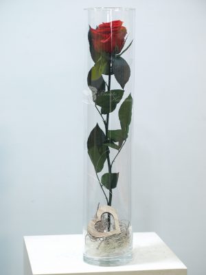 Tubo cristal con preservada 6 Tubo cristal con preservada 6