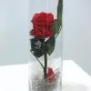 Tubo mini preservada 2
