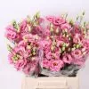 Lisianthus paquete 2