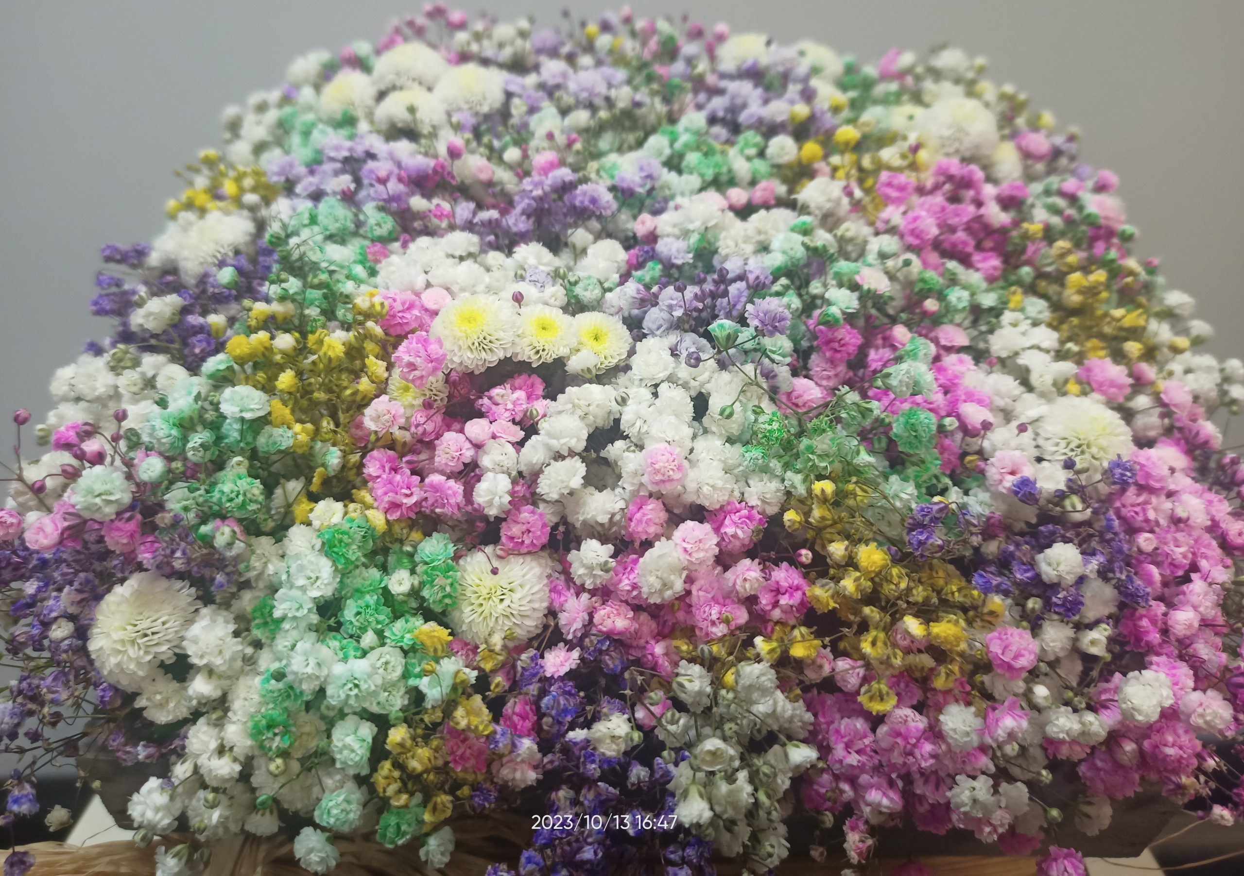 Caja con paniculata de colores. 4 Caja con paniculata de colores. 4