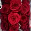 Paquete de Rosas. 1