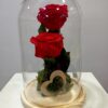 Cúpula con dos rosas eternas 1