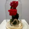 Cúpula con dos rosas eternas 1