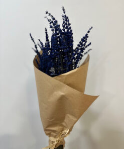 Lavanda preservada