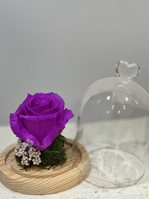 Rosa preservada cúpula corazón 4