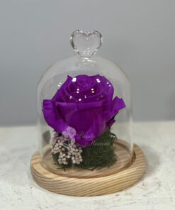 Rosa preservada cúpula corazón