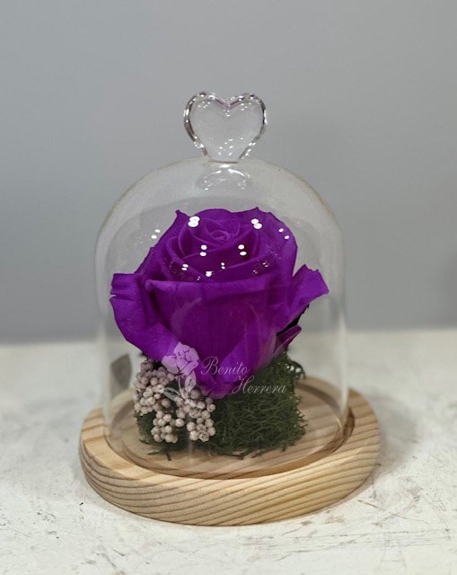 Rosa preservada cúpula corazón 3