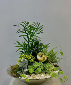 Composición cuenco cónico de vidrio