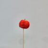 Pincho calabaza