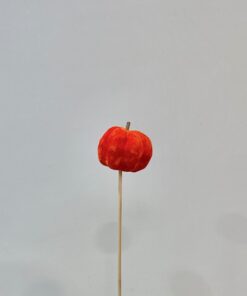 Pincho calabaza